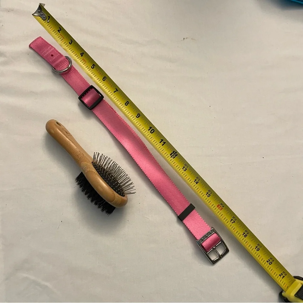 New Pink Dog Collar and Two Sided Coat Brush